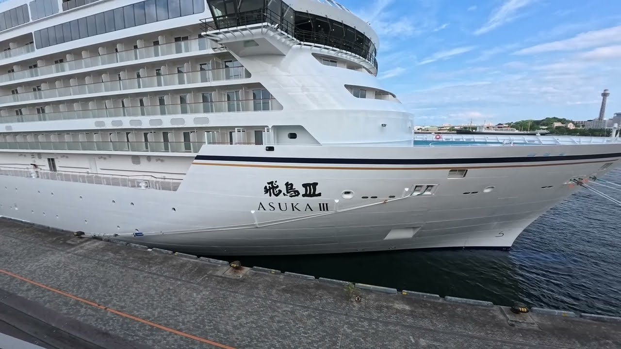 沖縄三線飛鳥 img_a5ae8e9462c6596463c07c6a24