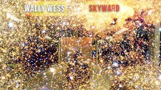 #ShortNSweet Album Review - Skyward