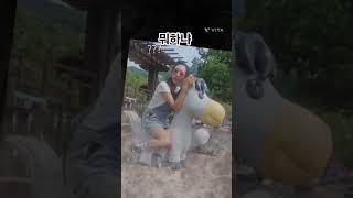 #달려 #조랑말 #가자구