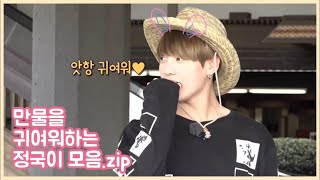 [방탄소년단 정국] 만물을 귀여워하는 정국이 모음