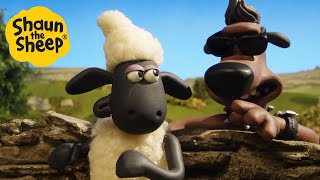 Shaun the Sheep  Who let the new dog out!  Cartoons for Kids  Full Episodes Compilation [1 hour]