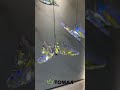www.tomaxlighting.com chandelier manufacturer +8613702219057