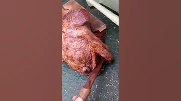Морская собака... Поймал на удочку...