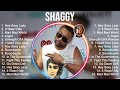 Shaggy Greatest Hits ~ Best Songs Of 80s 90s Old Music Hits Collection