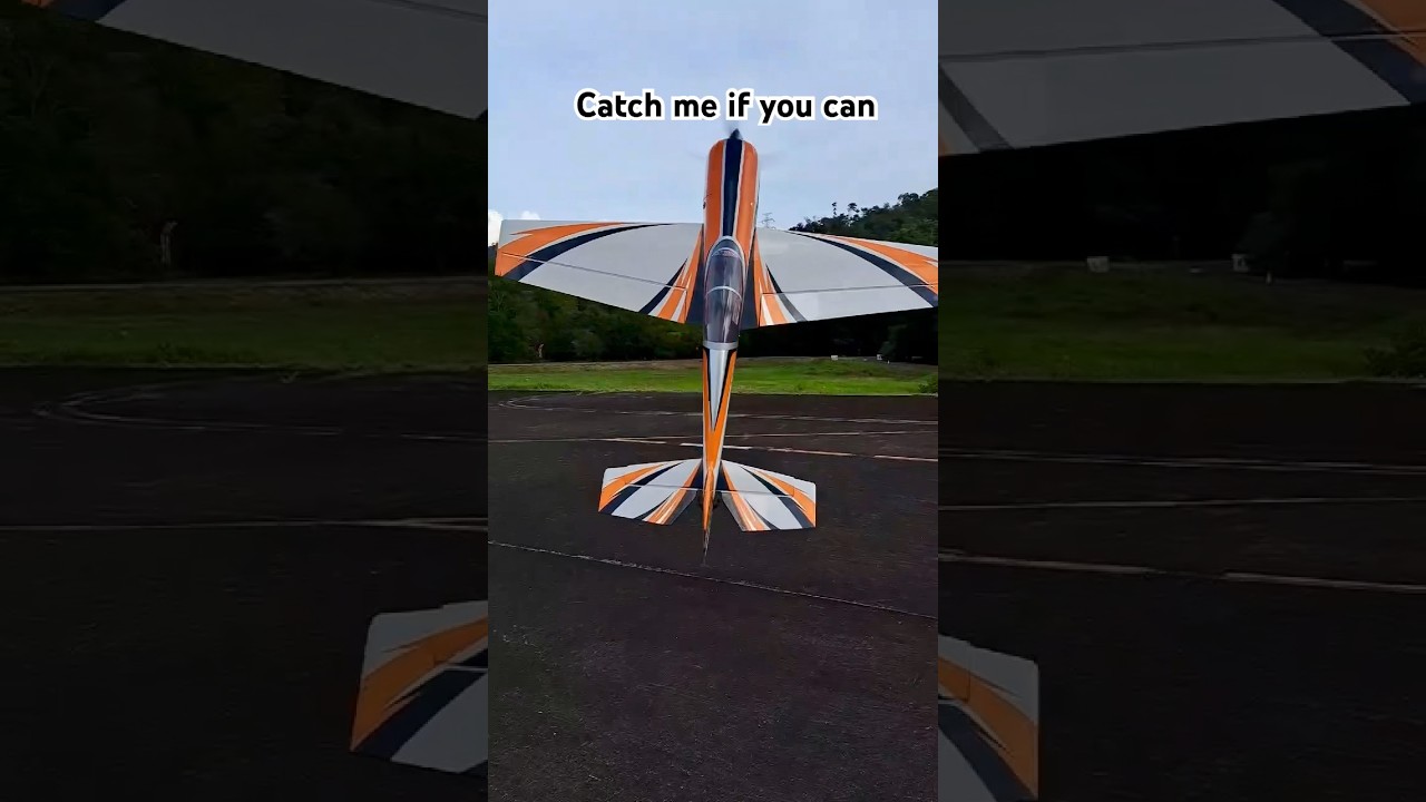 Catch me if you can - SkyWing 74” Yak-54 