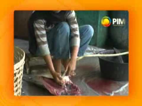 Resepi Ikan Kembung - Contohlah x