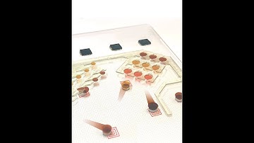 A Pipelined and Automated Bioassay Performed by Ferrobots