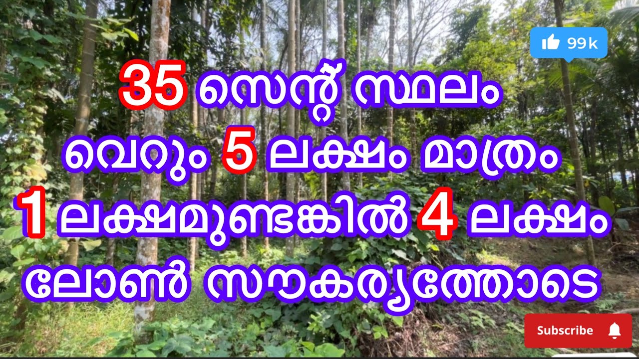 #പാലക്കാട് ജില്ലയിൽ കോങ്ങാട് പഞ്ചായത്തിൽ #lowbudjet #palakkadproperties #realestate 