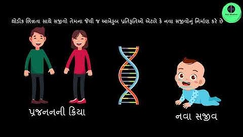 ધોરણ 10 | Science | Chapter 8 | સજીવો કેવી રીતે પ્રજનન કરે છે? | સજીવોમાં પ્રજનન તેમજ ભિન્નતા | GSEB