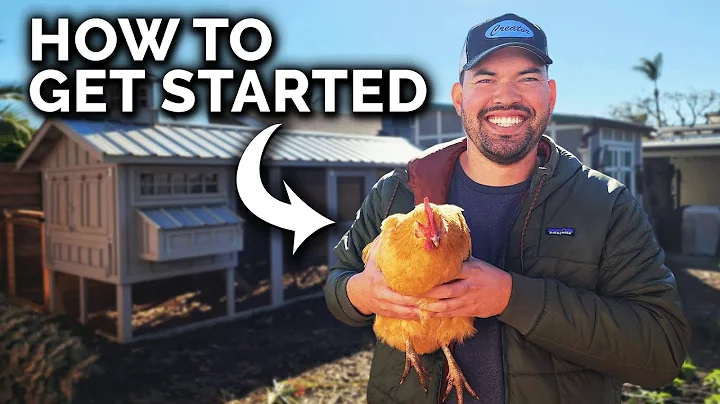 Raising Chickens: Everything You Need To Know! - DayDayNews