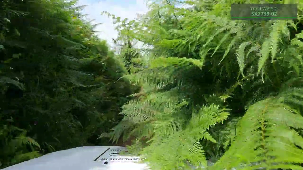 Green Lanes in a Dacia Duster - South Pool/Chivelstone, Devon