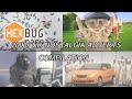 Youtube Thumbnail title