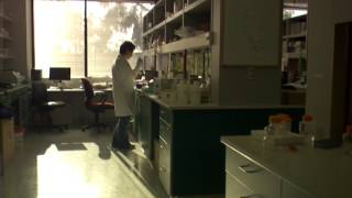 scientist in a lab| Free HD Stock Footage