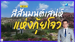 Connect the world ชิบเชื่อมโลก EP.31 วันที่ 12 พ.ค. 67