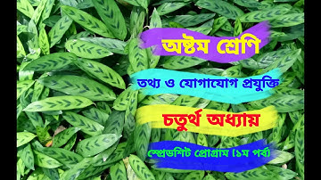 Class-8. ICT. Chapter-4. Spreadsheet Program. lecture-1 (অষ্টম শ্রেণি।। তথ্য ও যোগযোগ প্রযুক্তি।।)