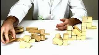Magnetic Wooden Toys from Tegu - Building a Duck