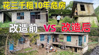 We rented a dilapidated house  view, Cleaned up weeds and renovated the abandoned house by 贵州李俊 Guizhou Li Jun 45,431 views 8 days ago 48 minutes