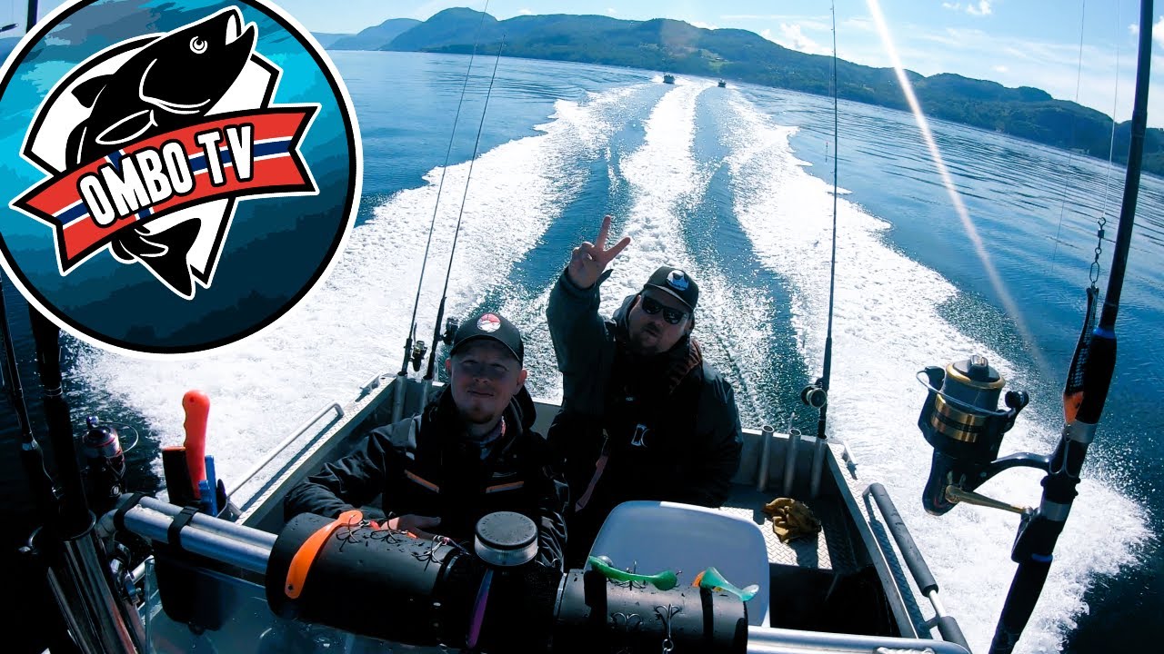 Pollacks auf 150 Meter?