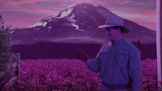 Nutrilite Traceability: 9-Step Process