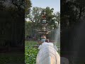 Garden #water #waterfall #watch #garden #forest #funny #views #watercolor #love #music #elephant