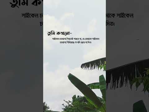 তুমি কখনো সাইকেল চালানো শিখতেই পারতে না, যে তোমাকে সাইকেল চালানো শিখিয়েছে সে যদি ছেরে না দিত।