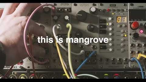 Mannequins Mangrove + Three Sisters linked filters