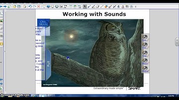 Using Audio and Animated Text in Smart Notebook.flv