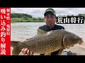 独特な魅力 鯉の吸い込み釣り 