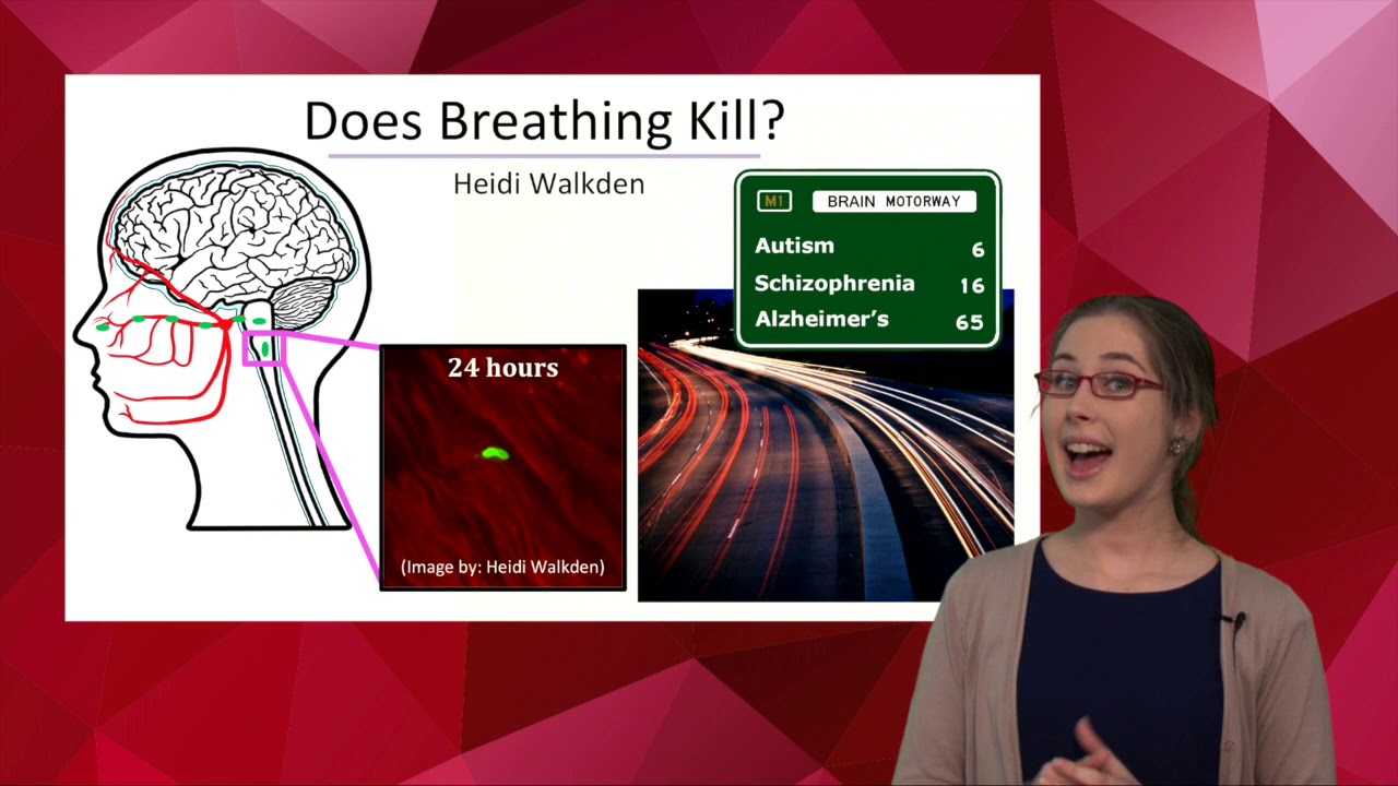 three minute thesis slide examples