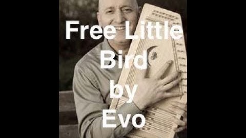 Free Little Bird • Evo with Evoharp
