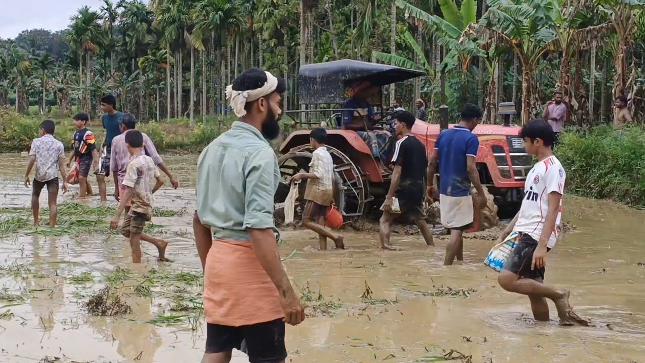 ഞാറ് നടാനുള്ള ഒരുക്കം Mania Raheem | Kalliolli | ente cherukode |