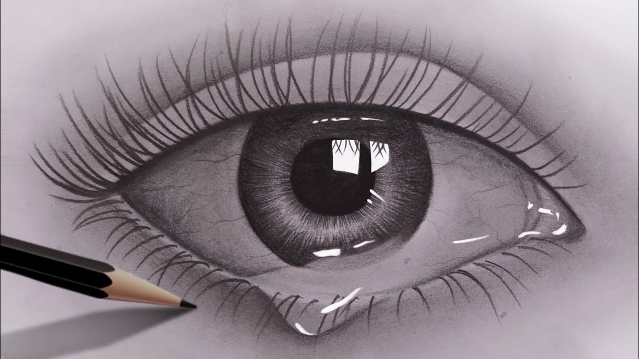 How to Draw a Realistic Eye  Drawing Tips  PRISMACOLOR