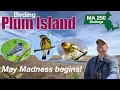 Spring migration at Plum Island! Episode 12 of my 2025 birding challenge