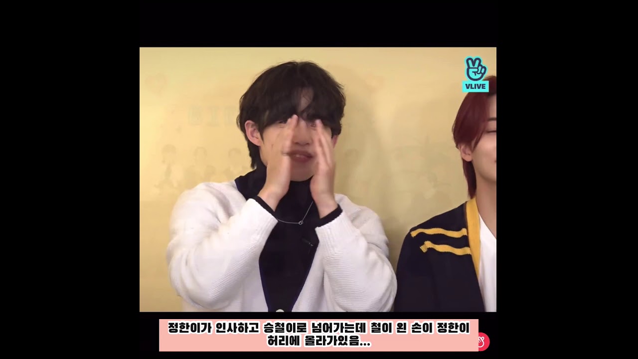 다이아몬드 생일 기념 ㅂㅇㅇ 쿱정 떡밥 | jeongcheol