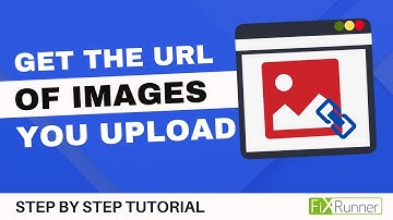 How To Get The URL Of The Images You Upload In WordPress