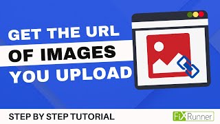 How To Get The URL Of The Images You Upload In WordPress