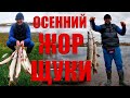 Рыбалка в Новосибирске. Осенний жор щуки!!!