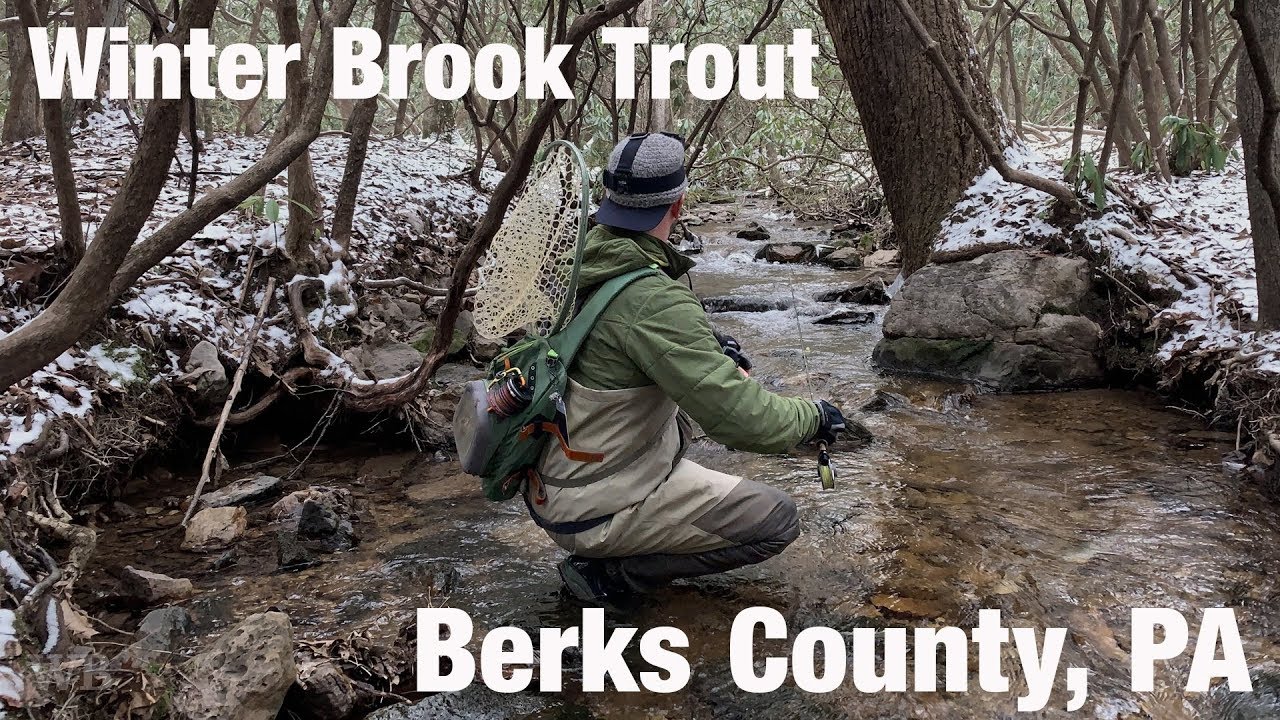 Wb Fly Fishing Winter Brook Trout Berks County Pa January 19 Youtube