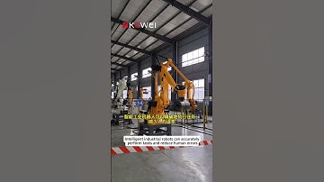 Shandong Kewei Industrial robot Co., LTD#automachine #industrialrobot #palletizer #factory