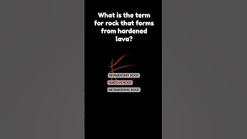 Mind-Blowing questions ! Can You Get 10/10? #quiz #quizzes #quiztime #riddle #trivia #quiz #riddle