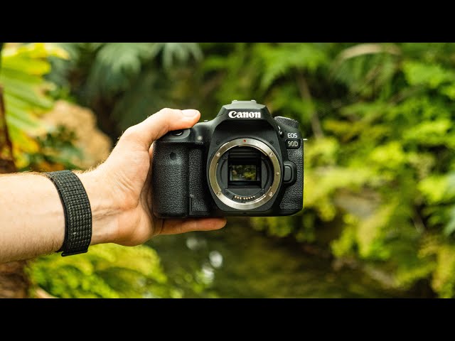 Canon EOS 90D Review