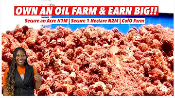 Palm Crest 2 | Invest in Nigeria’s Thriving Palm Oil Industry | Farmland in Ogun State | CofO | N1M