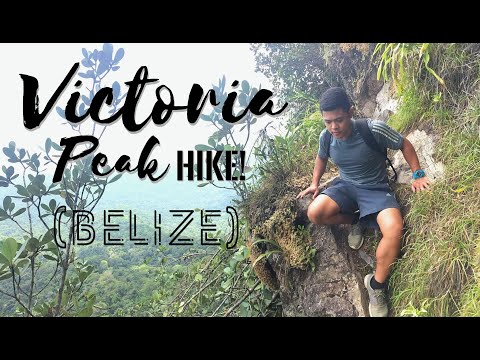 Victoria Peak (Belize) Hike #2k17