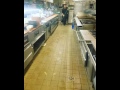 Wonton Stomp