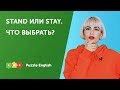 Что выбрать? Stand или Stay