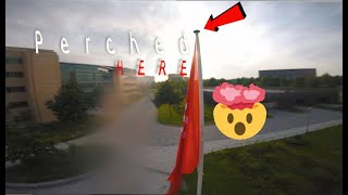 Perch on flag pole - FPV FREESTYLE #onetake