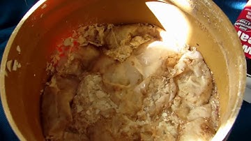 Calcium Acetate from Egg Shells