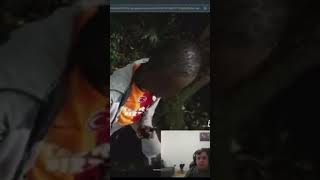 Google Arabasını Giremediği Yer