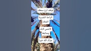 رب اشرح لي صدري #قاری #محمد_فقيه #تلاوة_خاشعة #اكسبلور #الجزائر #ورقلة #تيك_توك #ترند #دويتو #لايك