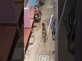 his first cycle